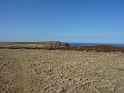 P1000126