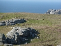 P1000134
