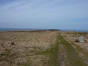 P1000156