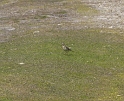P1000159