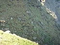 P1000220