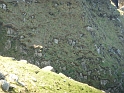 P1000221