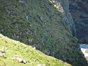 P1000222