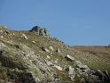 P1000234