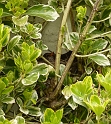 P1000261