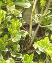 P1000262