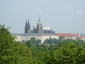 P1000383
