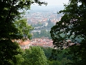 P1000394