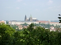 P1000398