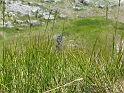 IMG_3260