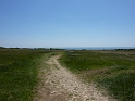 P1000410
