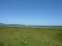 P1000421