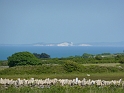 P1000422