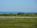 P1000423