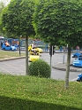 IMG_3281