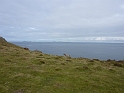 P1000458