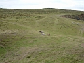 P1000464