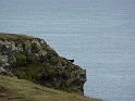 P1000468