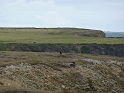 P1000472