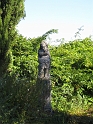 IMG_3392