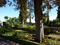 P1000561
