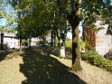 P1000571