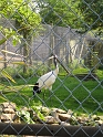 IMG_3463