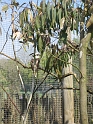 IMG_3483