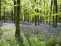 IMG_3495