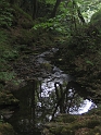 IMG_3509