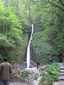 IMG_3511