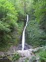 IMG_3513