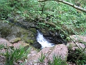 IMG_3518
