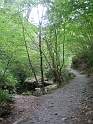 IMG_3521