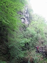 IMG_3524