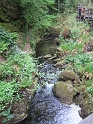 IMG_3525