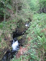 IMG_3526
