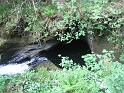 IMG_3527