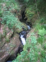 IMG_3528