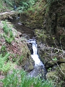 IMG_3529