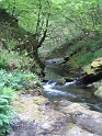 IMG_3530