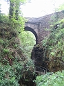 IMG_3531