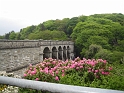 IMG_3535