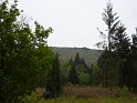 P1000614