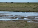 P1000635