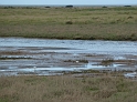 P1000636