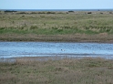 P1000637