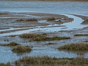 P1000639