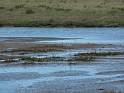 P1000641