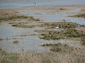 P1000643